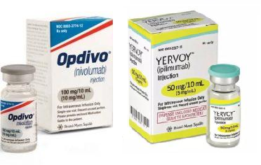 百时美免疫组合Opdivo+YervoyIII期研究更新结果:一线RCC任何免疫组合疗法的最长时间!_香港济民药业 百时美免疫组合Opdivo+YervoyIII期研究更新结果:一线RCC任何免疫组合疗法的最长时间!_香港济民药业