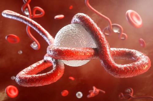 治疗埃博拉病毒感染新药Ebanga（ansuvimab-zykl）近日获美国FDA批准_香港济民药业