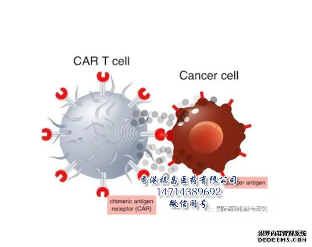 CAR-T细胞免疫疗法_香港祺昌医药有限公司