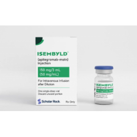 ISEMBYLD 安全性全梳理